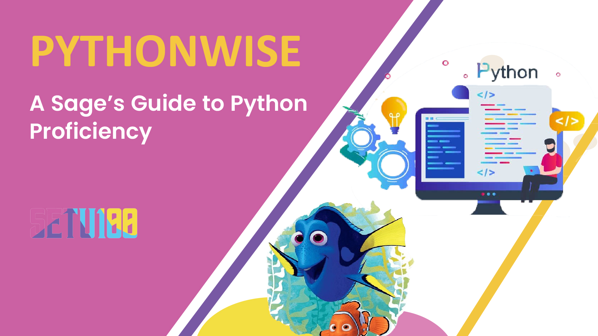 PythonWise